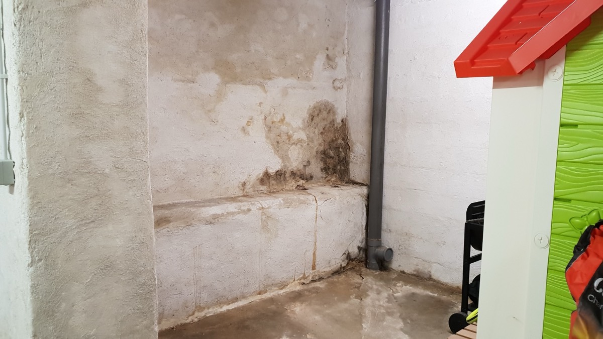 Infiltrations d'eau - Expertise humidité à Angers